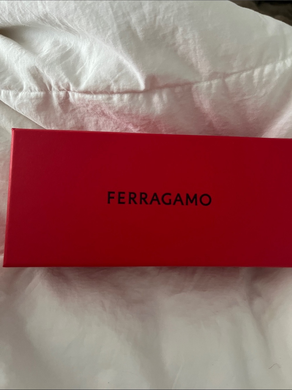 Salvatore Ferragamo Black and Silver Logo Box